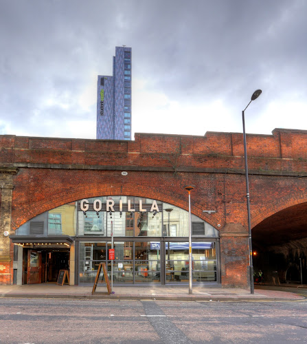 Gorilla in Manchester M1 5